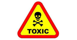 Ego In Business Is Toxic